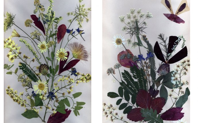 Программа элективного курса: Компьютерная графика и флористика